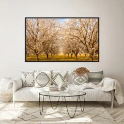 Quadro Decorativo Árvore Branca