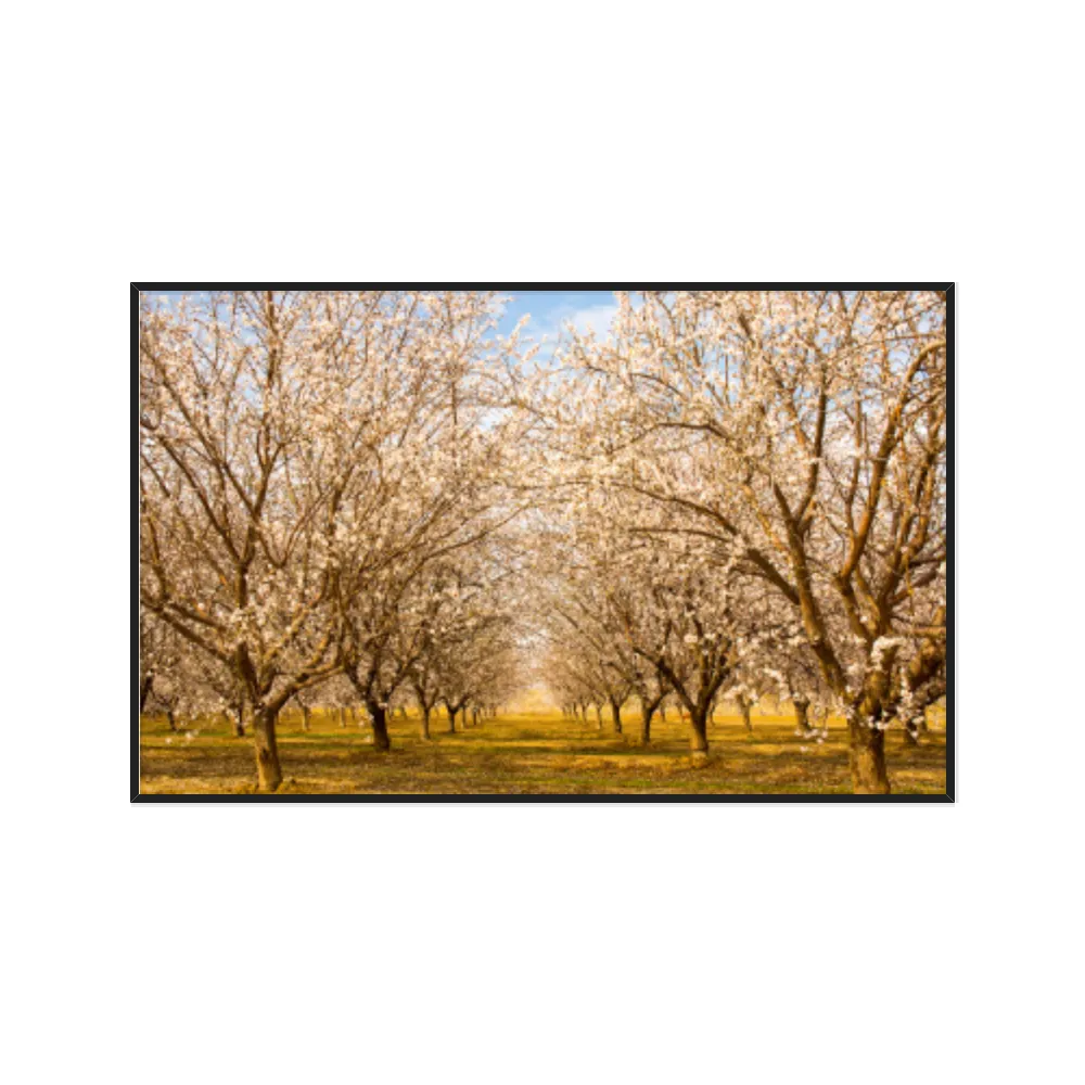 Quadro Decorativo Árvore Branca