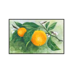 Quadro Decorativo Frutas