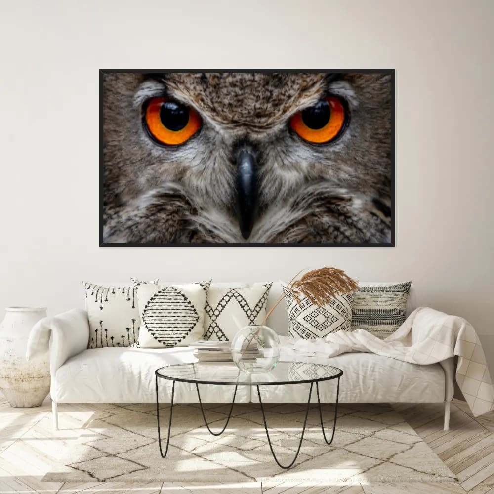 Quadro Decorativo Coruja