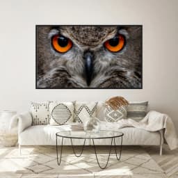Quadro Decorativo Coruja