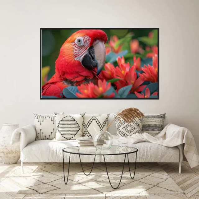 Quadro Decorativo Papagaio