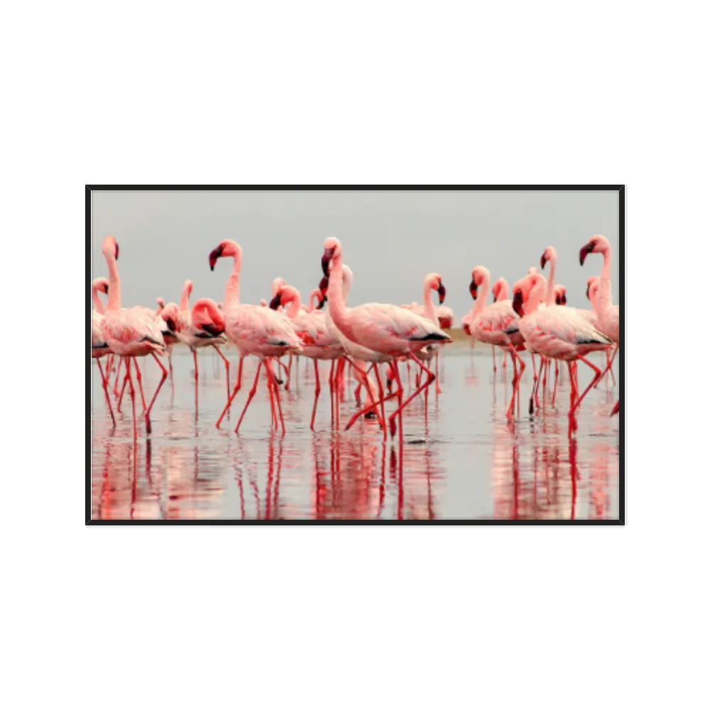 Quadro Decorativo Flamingos