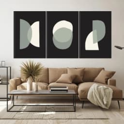 Kit Quadros Decorativos Orgânico