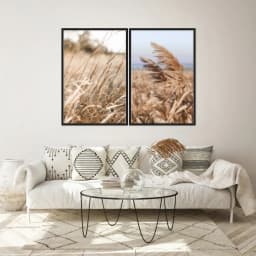Kit Quadros Decorativos Folhas Secas