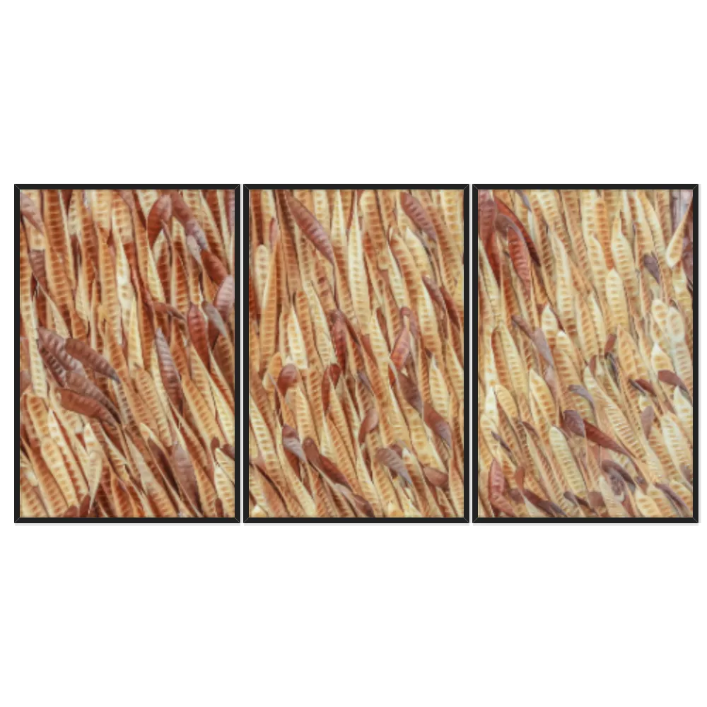 Kit Quadros Decorativos Vagem Desidratada