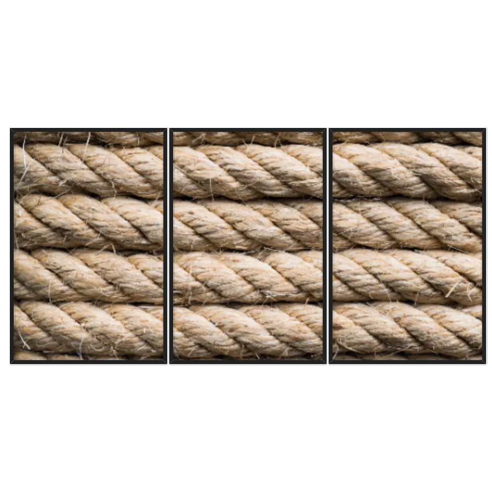 Kit Quadros Decorativos Traçado De Bambu