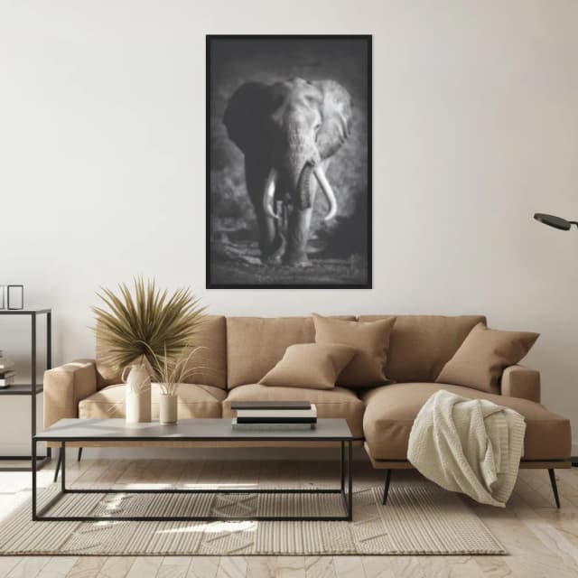 Quadro Decorativo Elefante