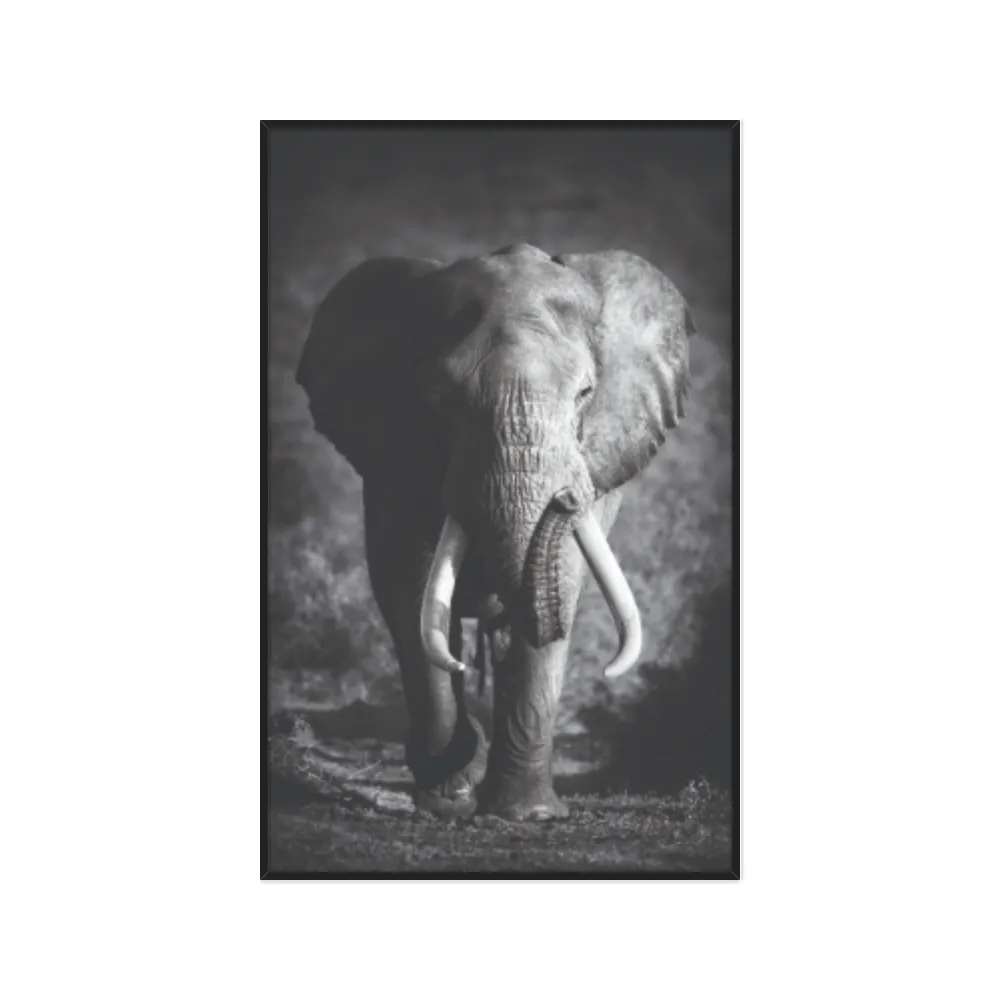 Quadro Decorativo Elefante