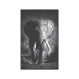 Quadro Decorativo Elefante