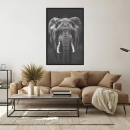 Quadro Decorativo Elefante