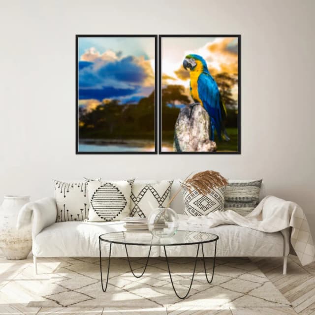 Kit Quadros Decorativos Arara Azul