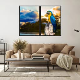 Kit Quadros Decorativos Arara Azul