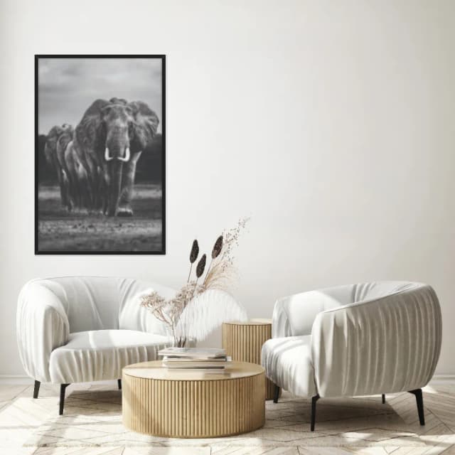 Quadro Decorativo Elefante