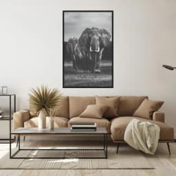 Quadro Decorativo Elefante