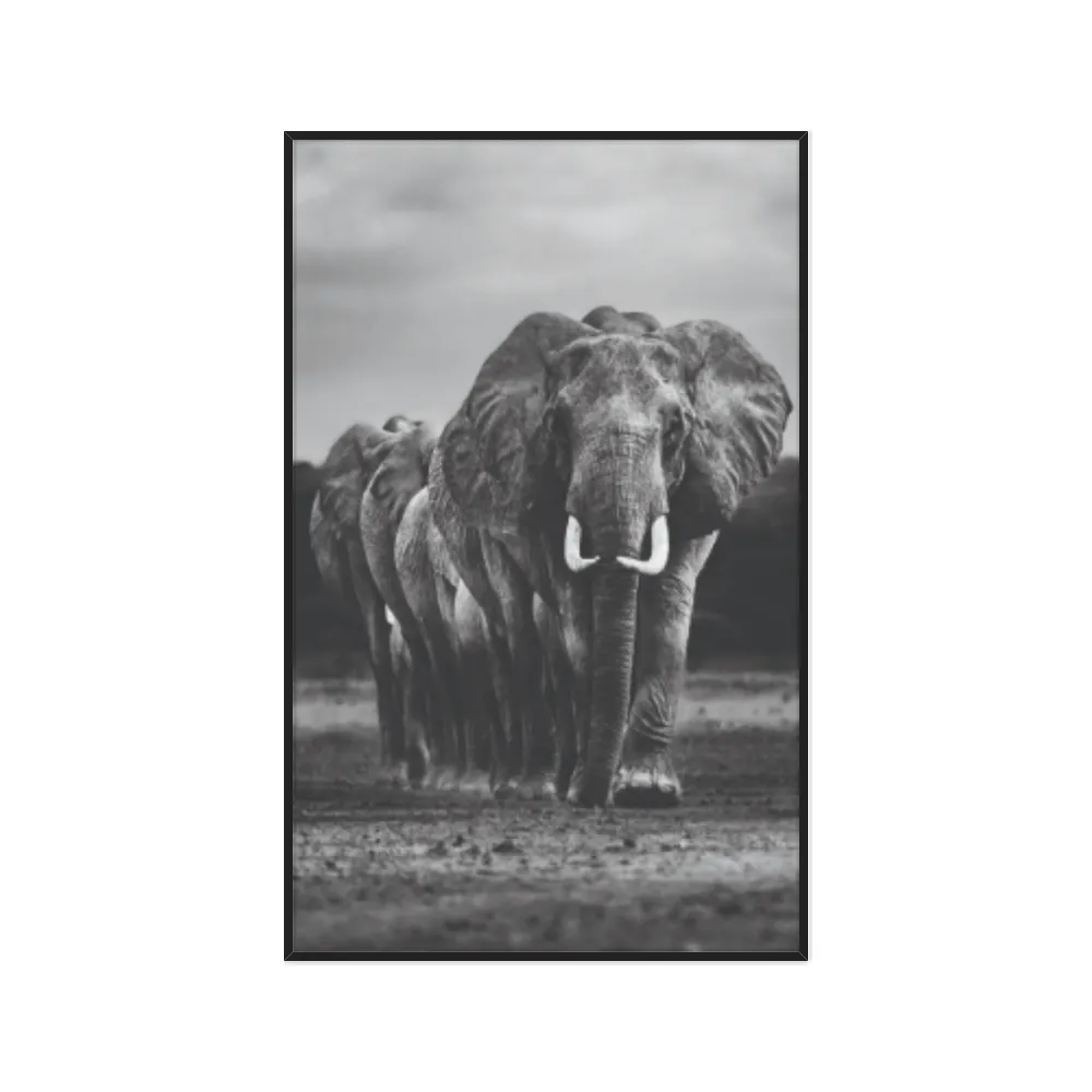 Quadro Decorativo Elefante