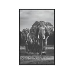 Quadro Decorativo Elefante