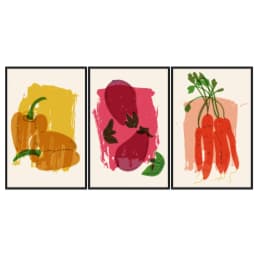 Kit Quadros Decorativos Pimenta