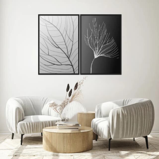 Kit Quadros Decorativos Folha Raio X