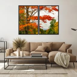Kit Quadros Decorativos Árvore Laranja