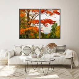 Kit Quadros Decorativos Árvore Laranja