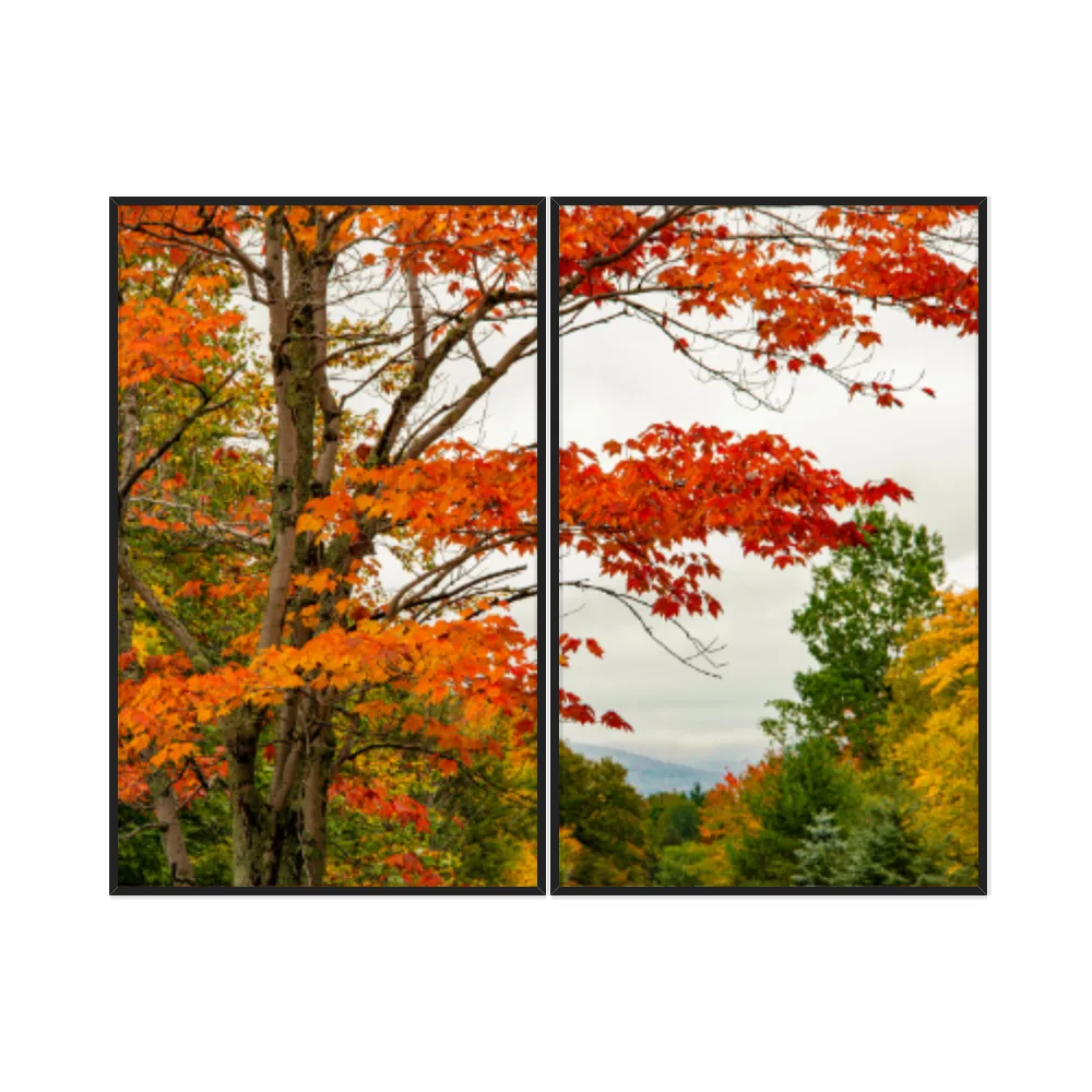 Kit Quadros Decorativos Árvore Laranja