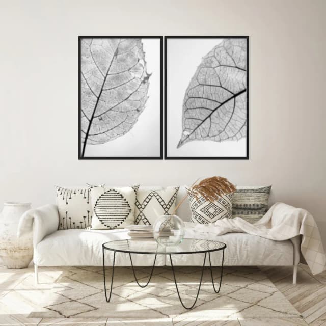 Kit Quadros Decorativos Folha Raio X