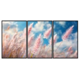 Kit Quadros Decorativos Pampas Rosa