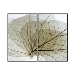 Kit Quadros Decorativos Textura De Folha