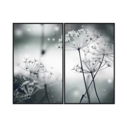 Kit Quadros Decorativos Flor Neve