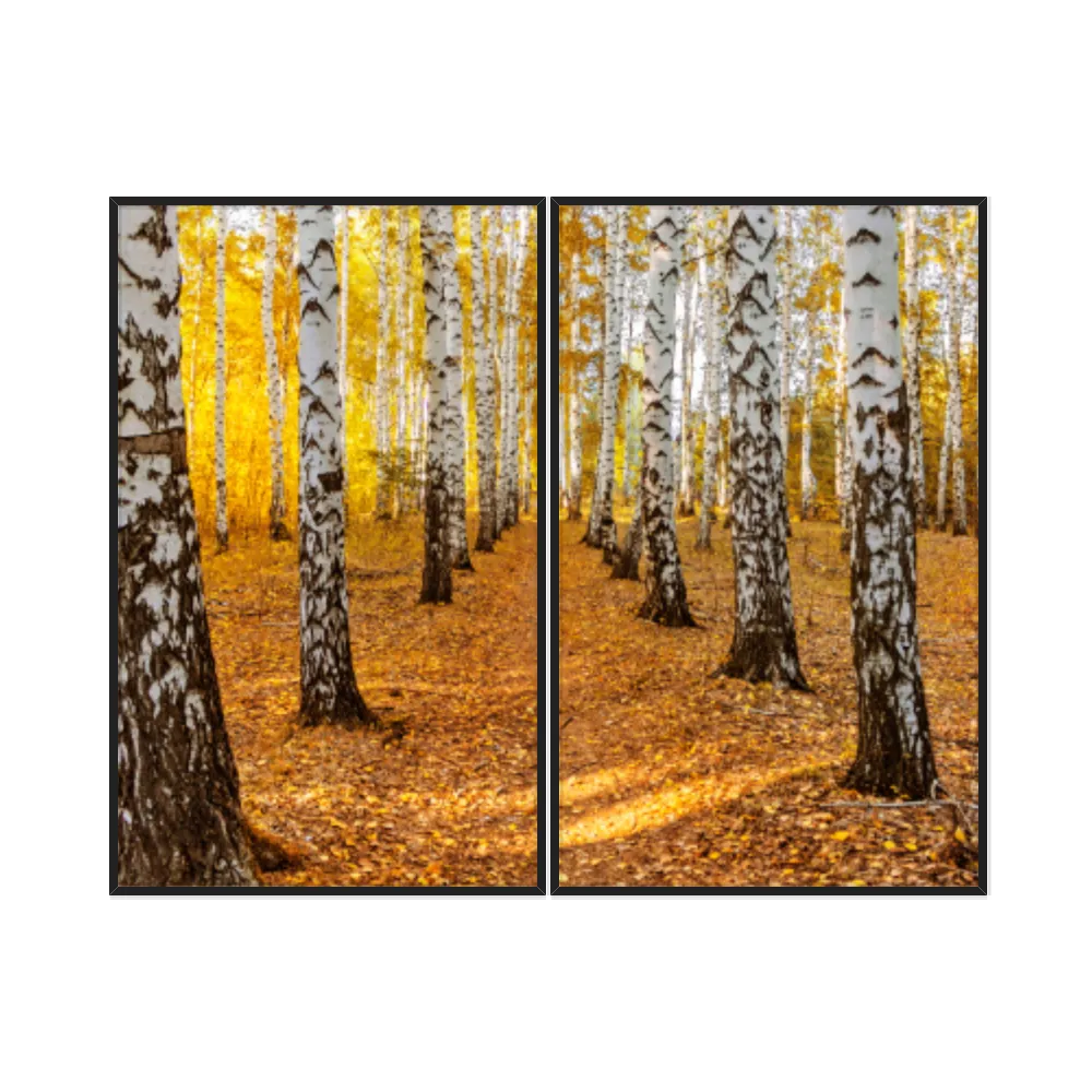 Kit Quadros Decorativos Tronco