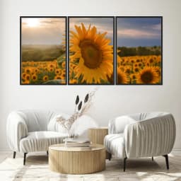 Kit Quadros Decorativos Girassol