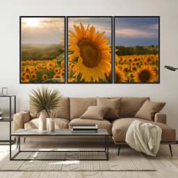 Kit Quadros Decorativos Girassol