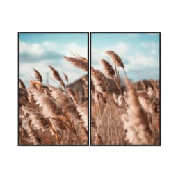 Kit Quadros Decorativos Pampas Marrom