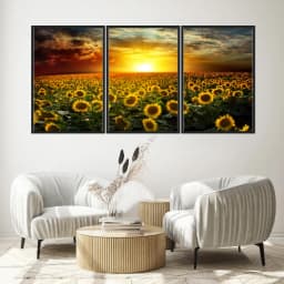 Kit Quadros Decorativos Girassol