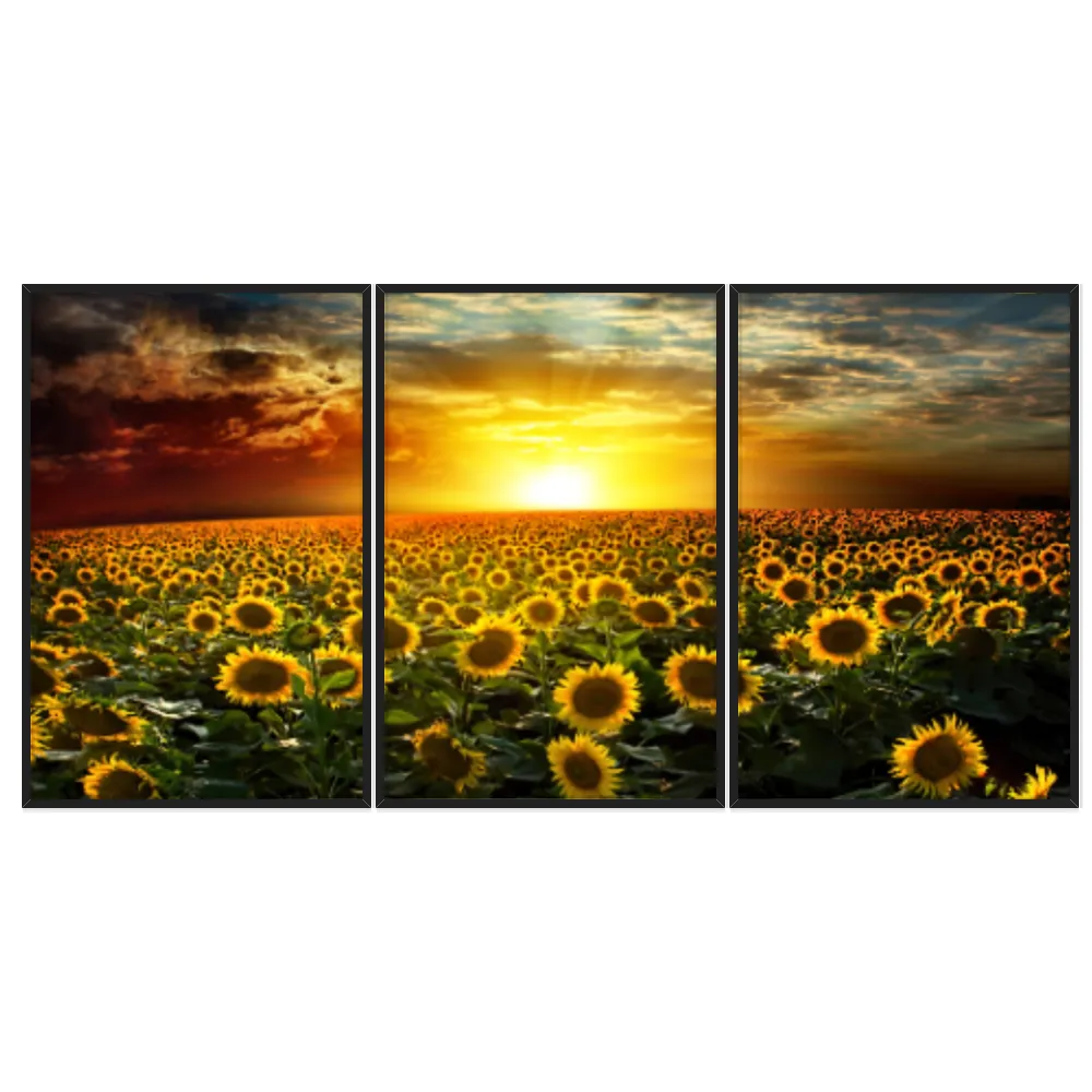 Kit Quadros Decorativos Girassol
