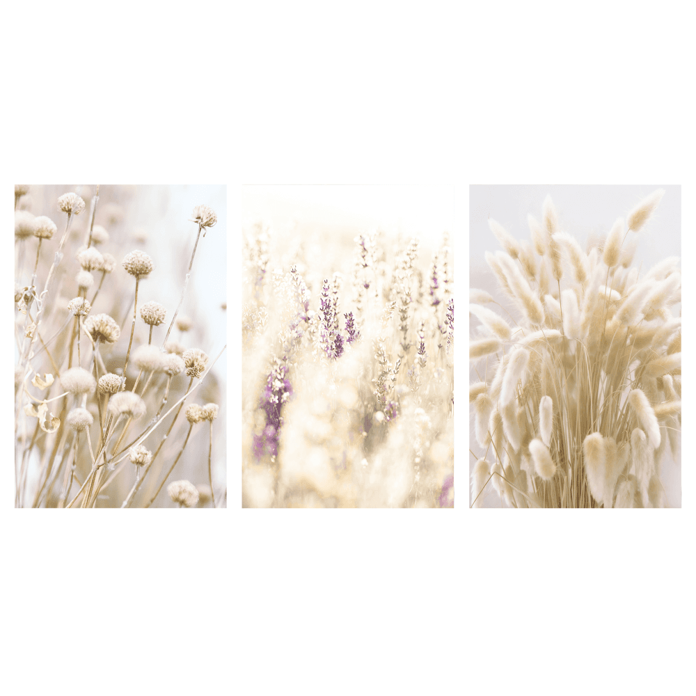 Kit Quadros Decorativos Floral Provence