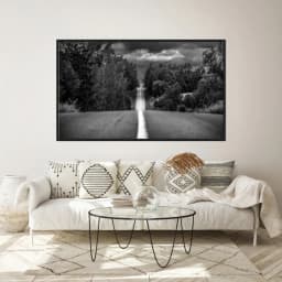 Quadro Decorativo Estrada Com Árvores