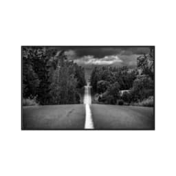 Quadro Decorativo Estrada Com Árvores