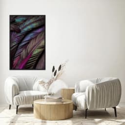 Quadro Decorativo Penas Coloridas