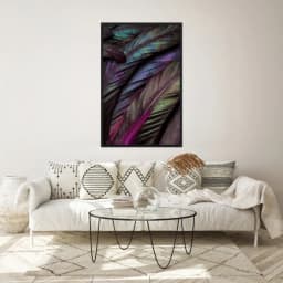 Quadro Decorativo Penas Coloridas