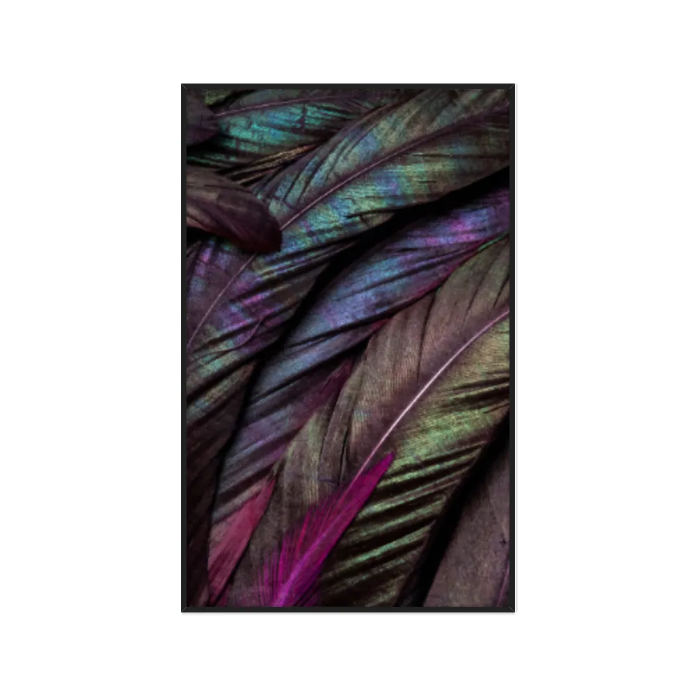 Quadro Decorativo Penas Coloridas