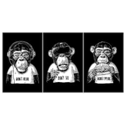Kit Quadros Decorativos Macaco