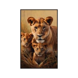 Quadro Decorativo Família Leão