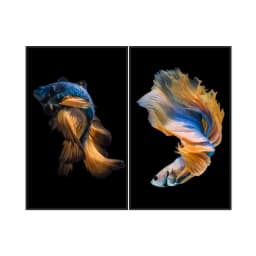 Kit Quadros Decorativos Peixe Azul