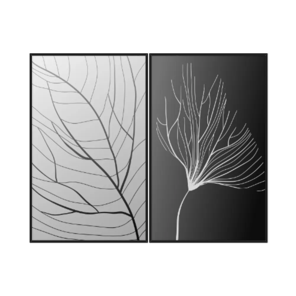Kit Quadros Decorativos Folha Raio X