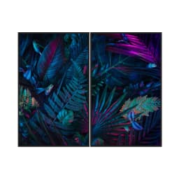 Kit Quadros Decorativos Tropical Colorida