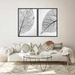 Kit Quadros Decorativos Folha Raio X