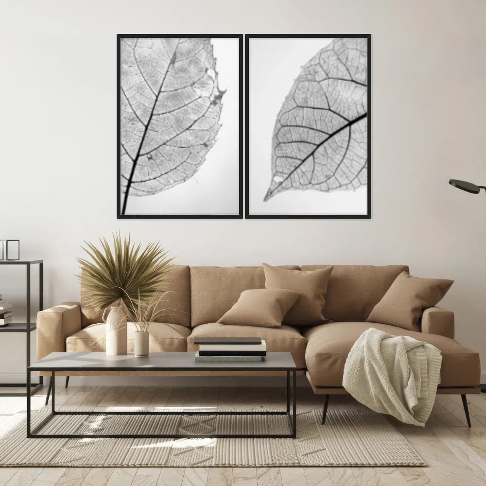 Kit Quadros Decorativos Folha Raio X