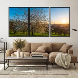 Kit Quadros Decorativos Árvore Branca